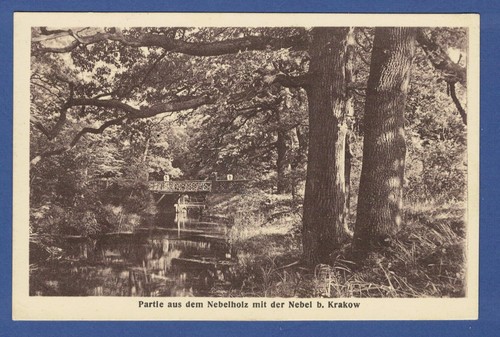 Partie aus dem - nebelholz, mit